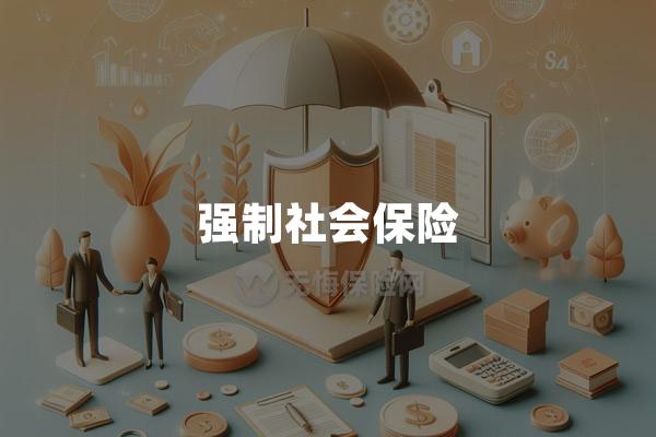 强制社会保险