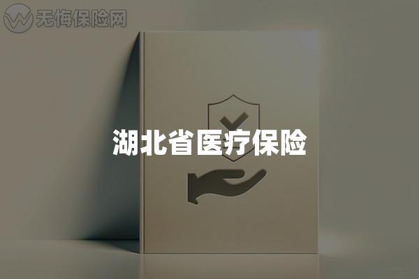 湖北省医疗保险
