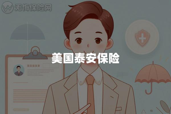 美国泰安保险