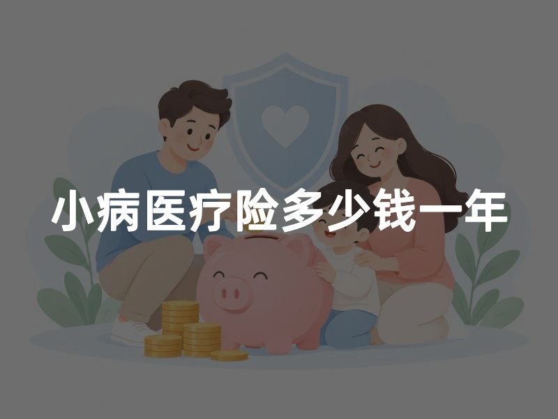 小病医疗险多少钱一年