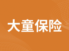 大童保险经纪有限公司