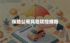 保险公司风险防控措施