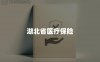 湖北省医疗保险