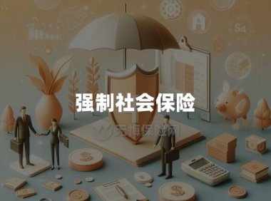 强制社会保险种类与优缺点