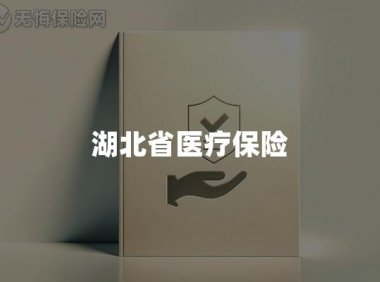 湖北省医疗保险