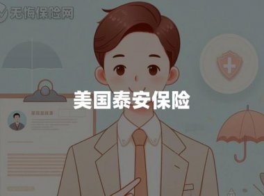 美国泰安保险