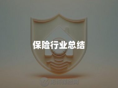 保险行业总结
