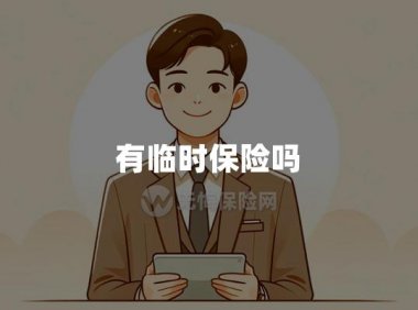 临时保险(短期保险或临时医疗保险)