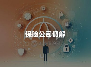 保险公司调解