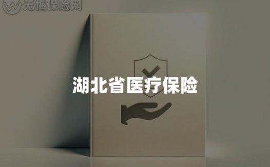 湖北省医疗保险