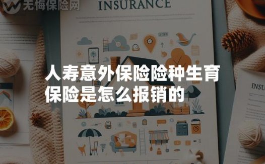 人寿意外保险险种生育保险是怎么报销的
