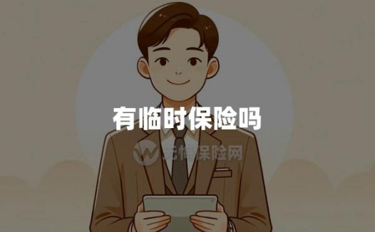 临时保险(短期保险或临时医疗保险)