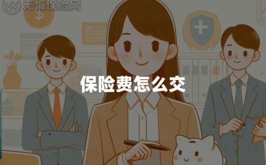 保险费怎么交