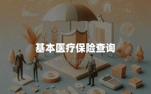 基本医疗保险查询