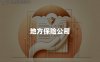 地方保险公司