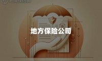 地方保险公司