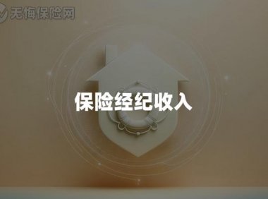 保险经纪收入