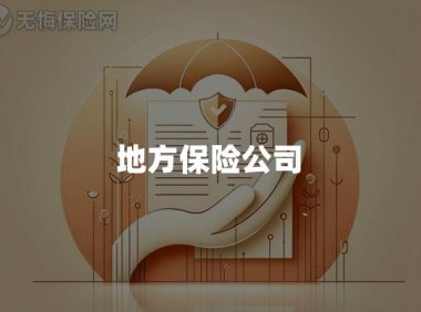 地方保险公司