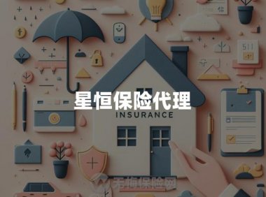 星恒保险代理