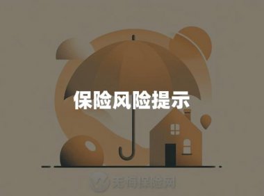 保险风险提示