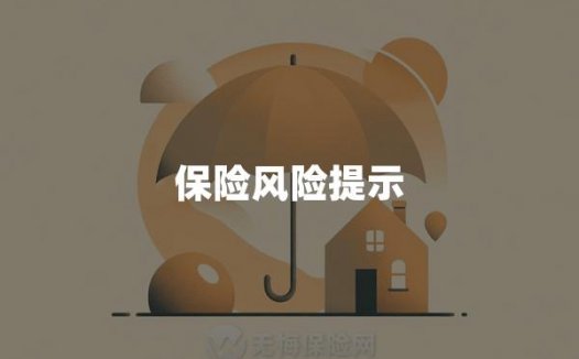 保险风险提示