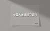 中国大地保险可靠吗(2025最新权威解答)