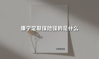 康宁定期保险保的是什么(2025最新权威解答)