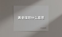 两全保险什么意思(2025最新权威解答)