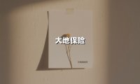 大地保险（2025最新权威解答）