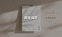 民生保险(2025最新权威解答)