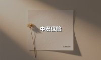 中宏保险(2025最新权威解答)