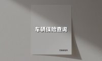 车辆保险查询(2025最新权威解答)