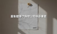 买车险哪个保险公司好还便宜(2025最新权威解答)