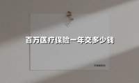 百万医疗保险一年交多少钱(2025最新权威解答)