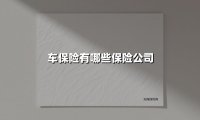 车保险有哪些保险公司(2025最新权威解答)