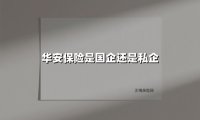 华安保险是国企还是私企(2025最新权威解答)