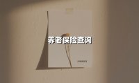 养老保险查询(2025最新权威解答)