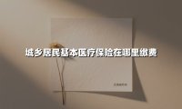 城乡居民基本医疗保险在哪里缴费(2025最新权威解答)