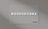 两全保险指的是哪两全(2025最新权威解答)