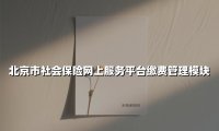 北京市社会保险网上服务平台缴费管理模块(2025最新权威解答)