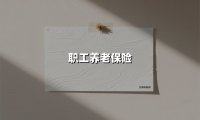 职工养老保险(2025最新权威解答)