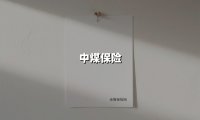 中煤保险(2025最新权威解答)