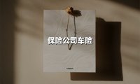 保险公司车险(2025最新权威解答)