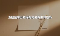 五险是哪五种保险男的有生育险吗(2025最新)