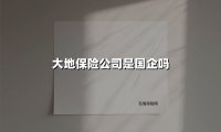 大地保险公司是国企吗(2025最新)