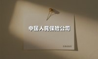 中国人民保险公司(2025最新)