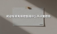 机动车损失保险包括什么不计免赔吗(2025最新)