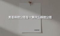 美亚保险公司是一家什么保险公司(2025最新)