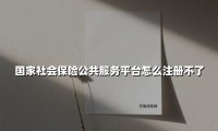 国家社会保险公共服务平台怎么注册不了