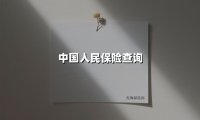 中国人民保险查询